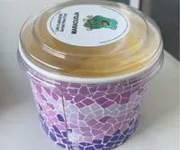 Sorbet plein fruit Maracudja
