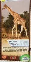 Girafe