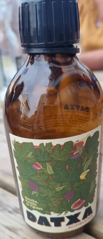 Datxa kombucha feuille de figuier