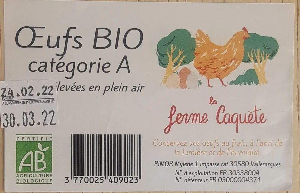 Oeufs bio