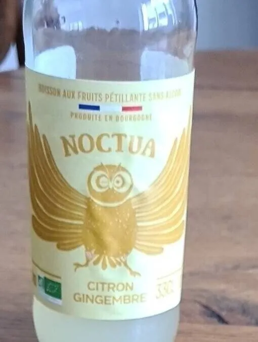 Noctua Citron Gingembre