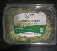 Luzerne Germée Medicago Sativa