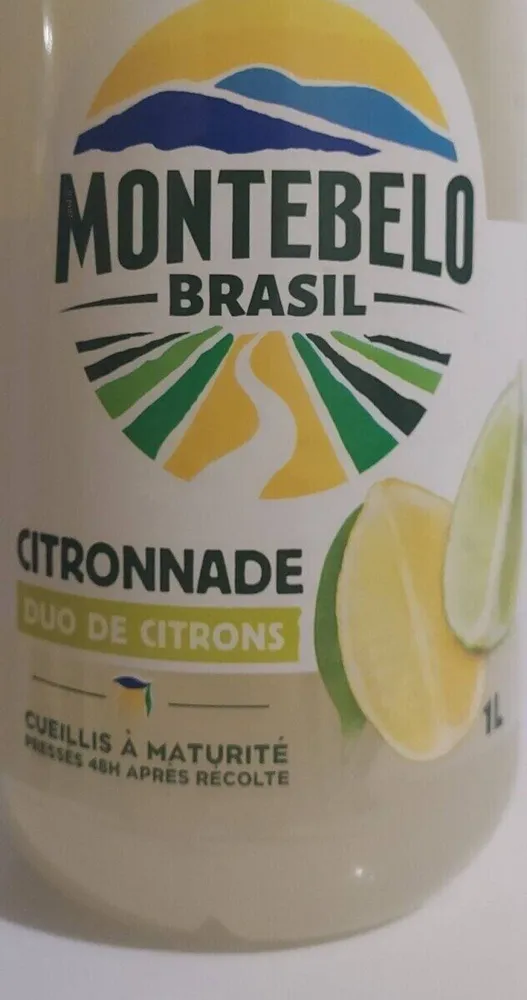 Citronnade duo de citrons
