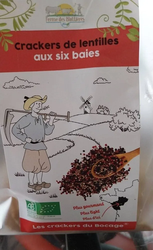 Crackers de lentilles aux six baîes