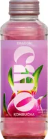 Dragon Kombucha