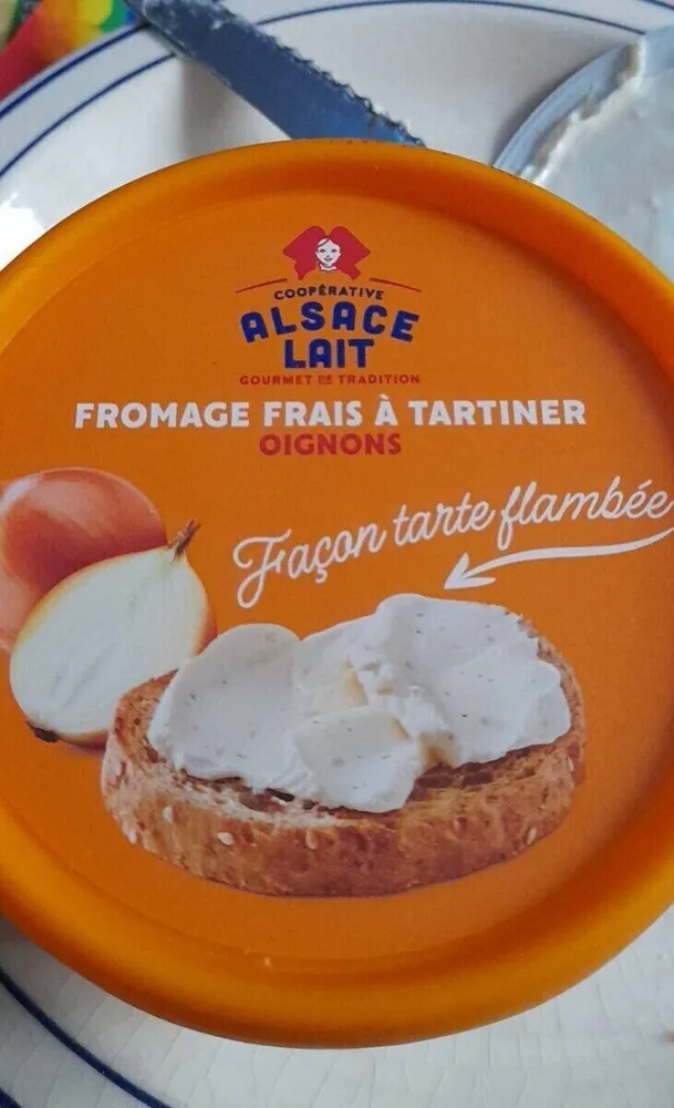 Fromage frais à tartiner oignons