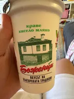 Bulgarian Yogurt
