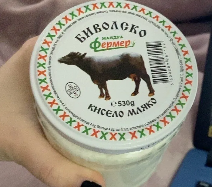 Buffalo yoghurt