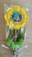 Fleur arlequin