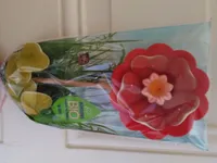 Mini fleur bio