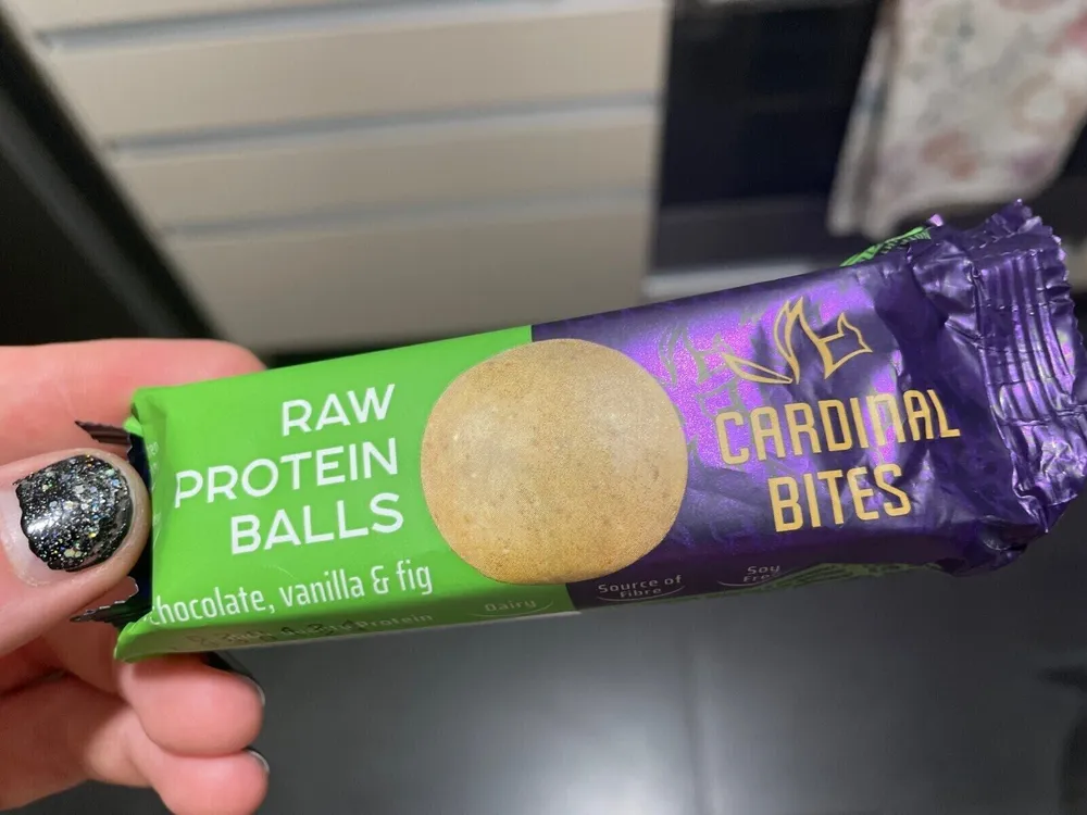Raw Protein Balls