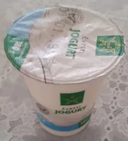 Jogurt navadni