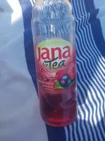 Jana Ice Tea okus šumsko voće brusnica forest fruit cranberry