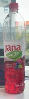 Ice Tea waldfrucht Preiselbeere