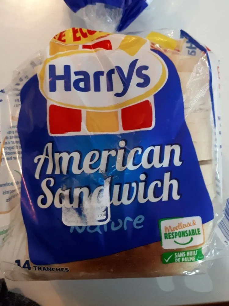 American sandwich nature
