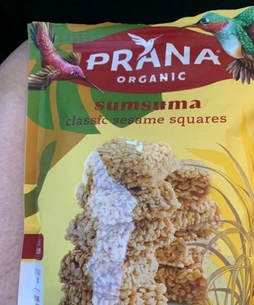 Classic Sesame Squares
