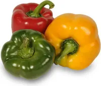 Spanischer Paprika Mix