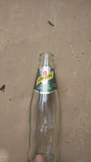 Schweppes Ginger ale