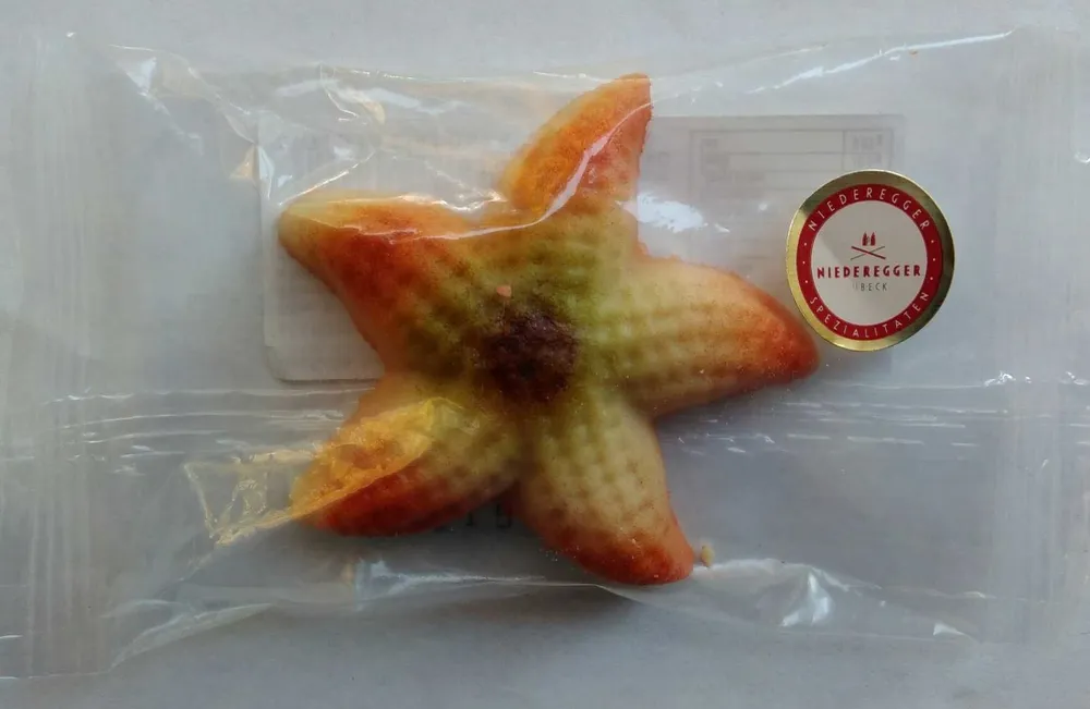 Marzipan Meerestiere