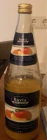 Mango-Nektar