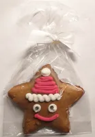 Weihnachtsmann-Stern