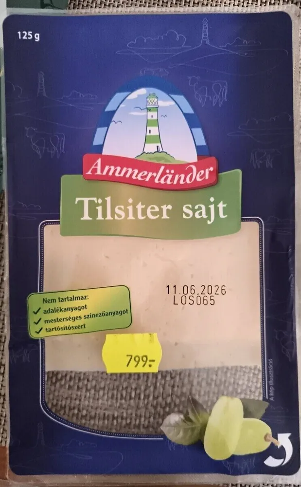 Tilster Sajt