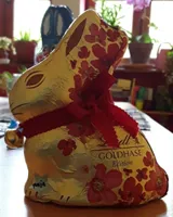 Goldhase