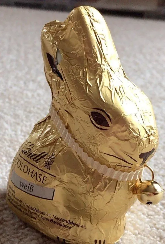 Goldhase Weiß