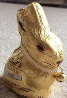 Goldhase Weiß