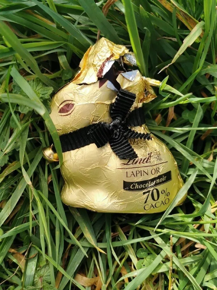Lapin or chocolat noir 70 % cacao