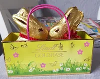 Goldhase