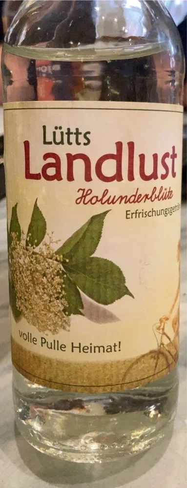 Holunderblüte Erfrischungsgetränk