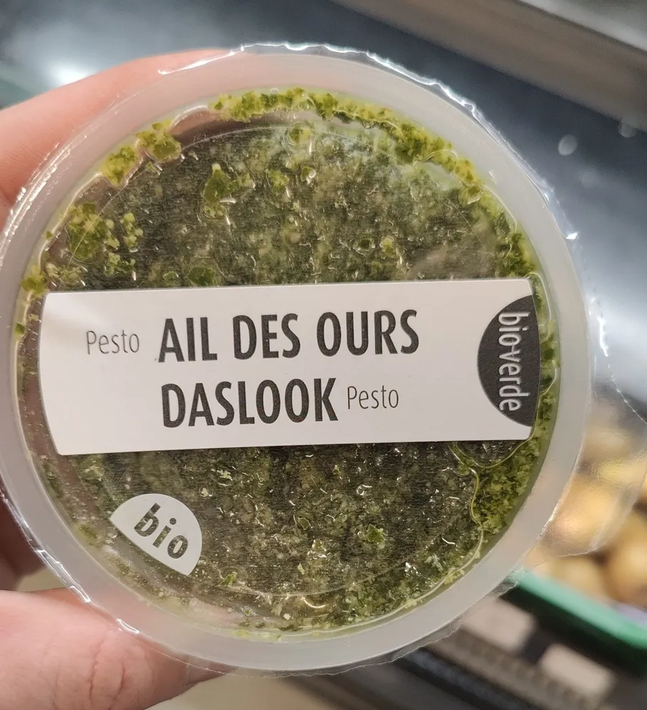 Frisches Bärlauch Pesto