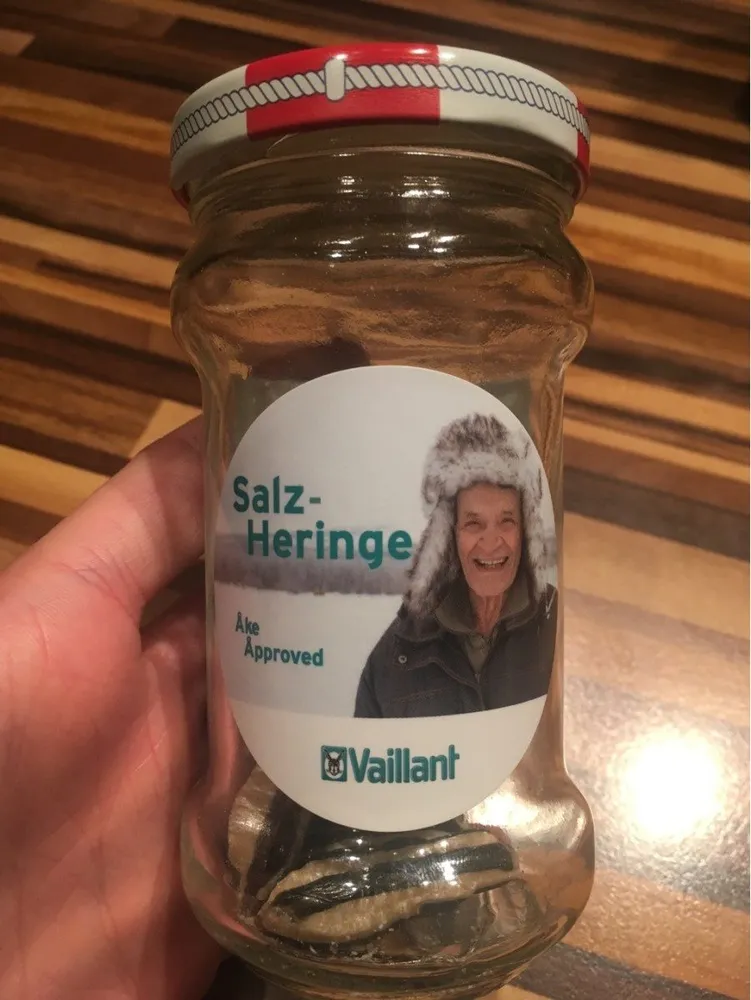 Salz-heringe