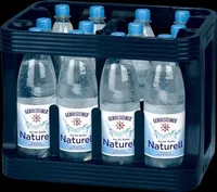 Gerolsteiner Mineralwasser Naturell (PET-Mehrweg)