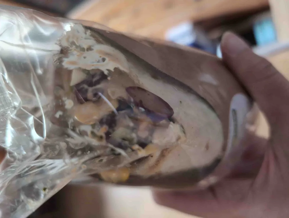 Wrap Chicken Mexican