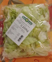 Eisbergsalat mittel 16mm