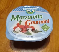 Mozzarella Gourmini