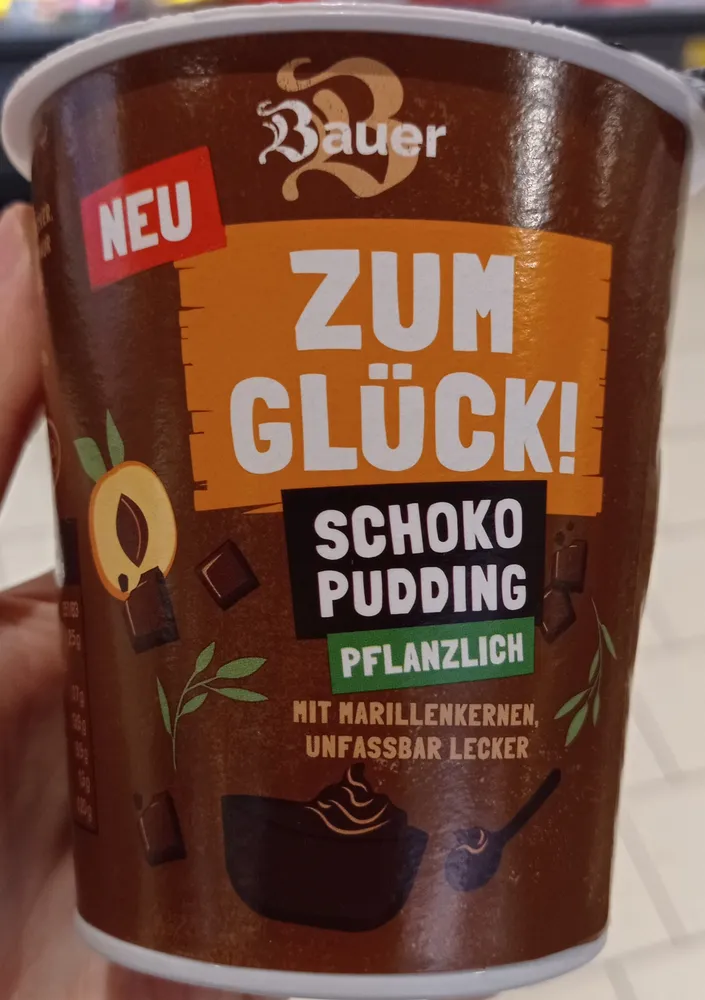 Schoko pudding pflanzlich