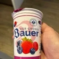 grosser Bauer Waldfrucht