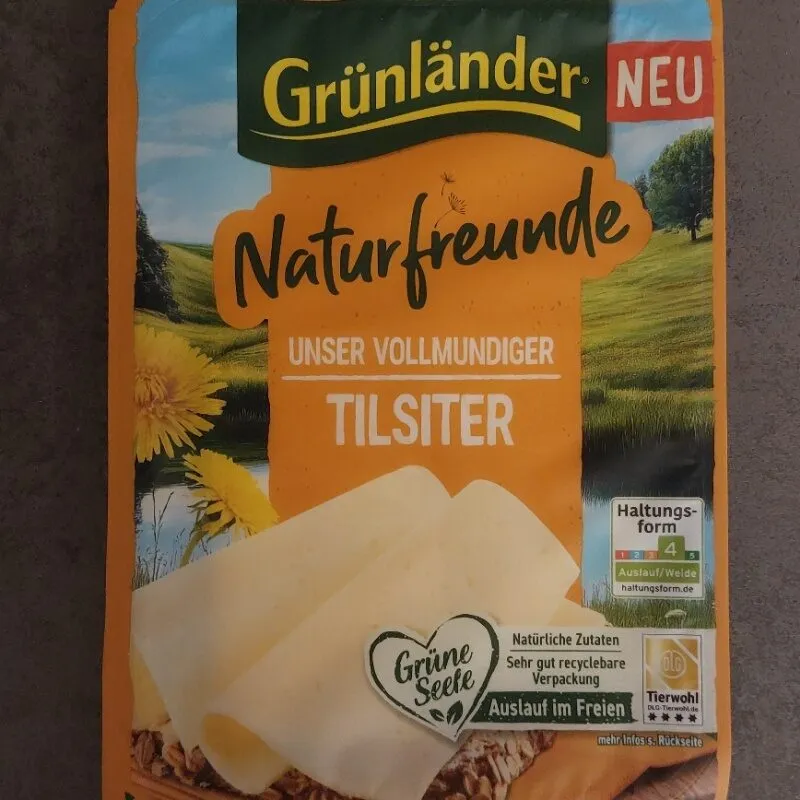 Tilsiter