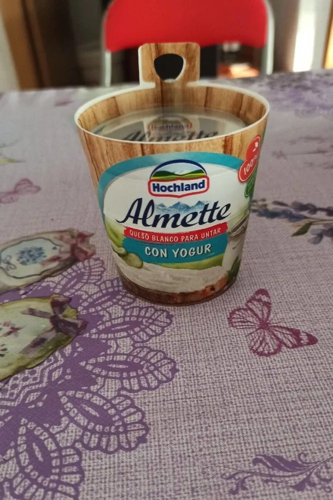 Queso blanco para untar con yogur