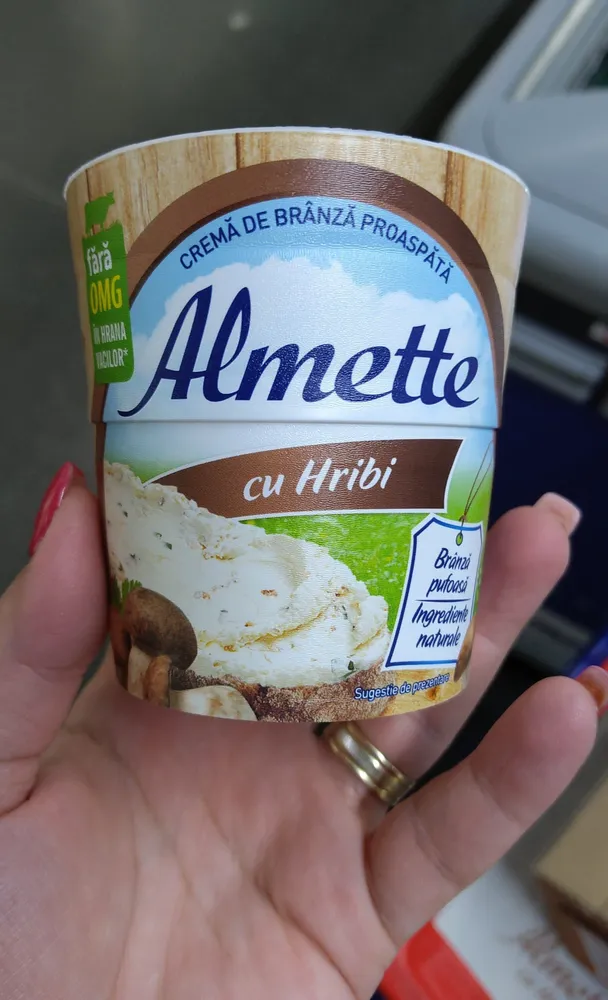 Crema De Branza Cu Hribi