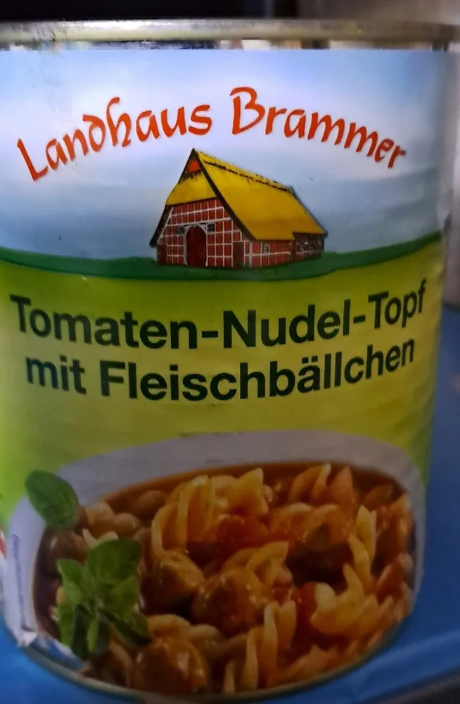 Tomaten-Nudel-Topf mit Fleischbällchen
