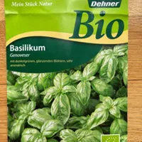 Basilikum Genoveser Saatgut