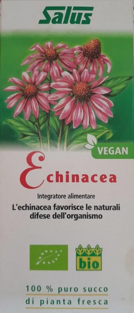 Echinacea