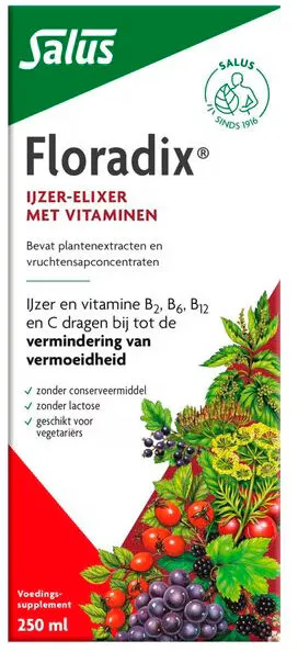 Salus Floradix Vloeibaar IJzer-Elixer