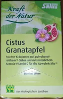 Cistus Granatapfel