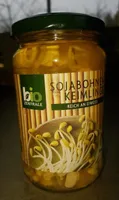 Sojabohnen keimlinge