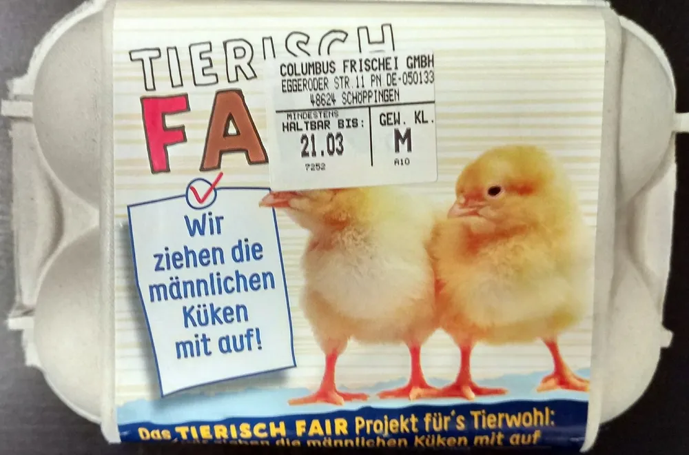 Eier